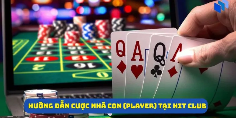 Hướng dẫn cược nhà con (player) tại Hit Club