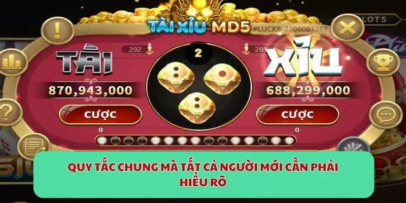 Quy tắc chung mà tất cả người mới cần phải hiểu rõ