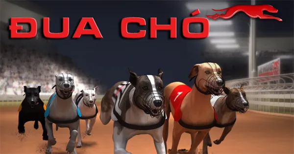 ca cuoc dua cho hitclub 1 Các hình thức đặt cược phổ biến trong game cá cược đua chó