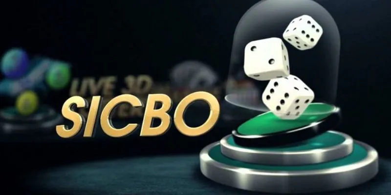 kham pha cach choi sicbo dai phu quy tai hitclub de thang Khám phá cách chơi Sicbo Đại Phú Quý tại Hitclub, dễ thắng